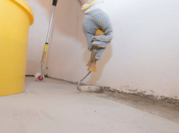 Best Fumigation Services  in Crossville, AL